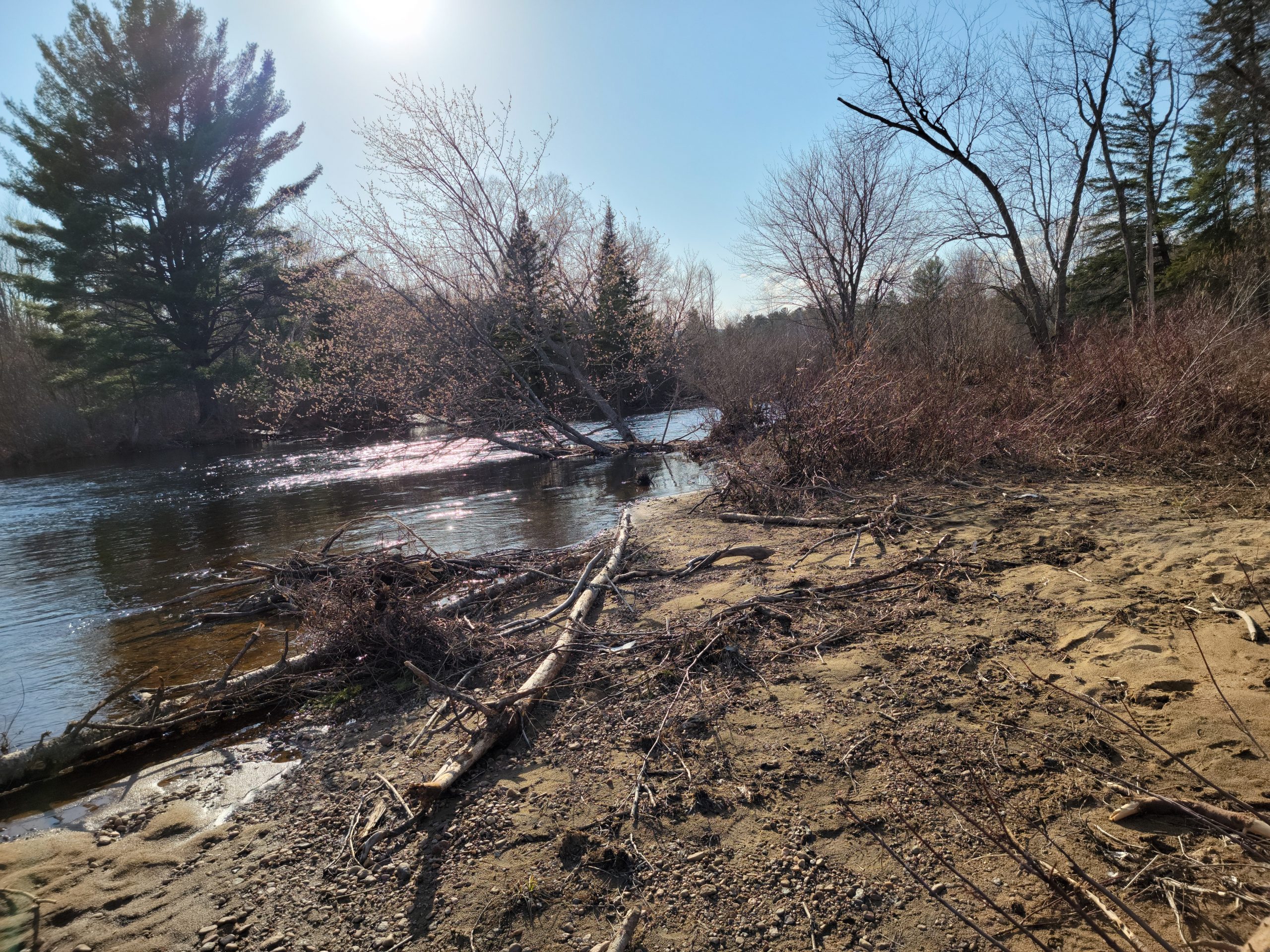 Plage, Bord de l'eau, terrain, à vendre, Sainte-Émilie-de-l'Énergie, Boisé, Rivière Noire, opportunité, construisable, accès à la route 131